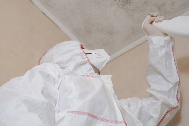 Best Mold Testing  in Manor, TX