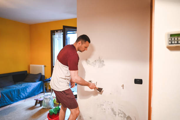 Best Mold Inspection  in Manor, TX