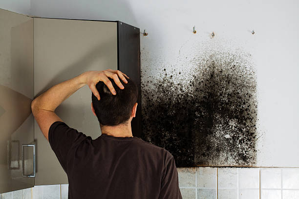 Manor, TX Mold Removal Company