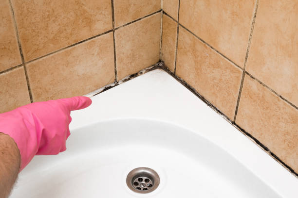 Best Mold Testing  in Manor, TX